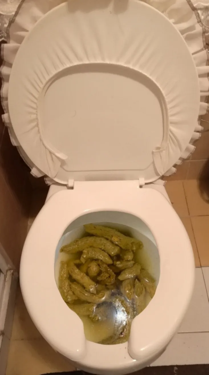 My girlfriend returned from her trip and still maintains the habit of leaving the bathroom full of poop