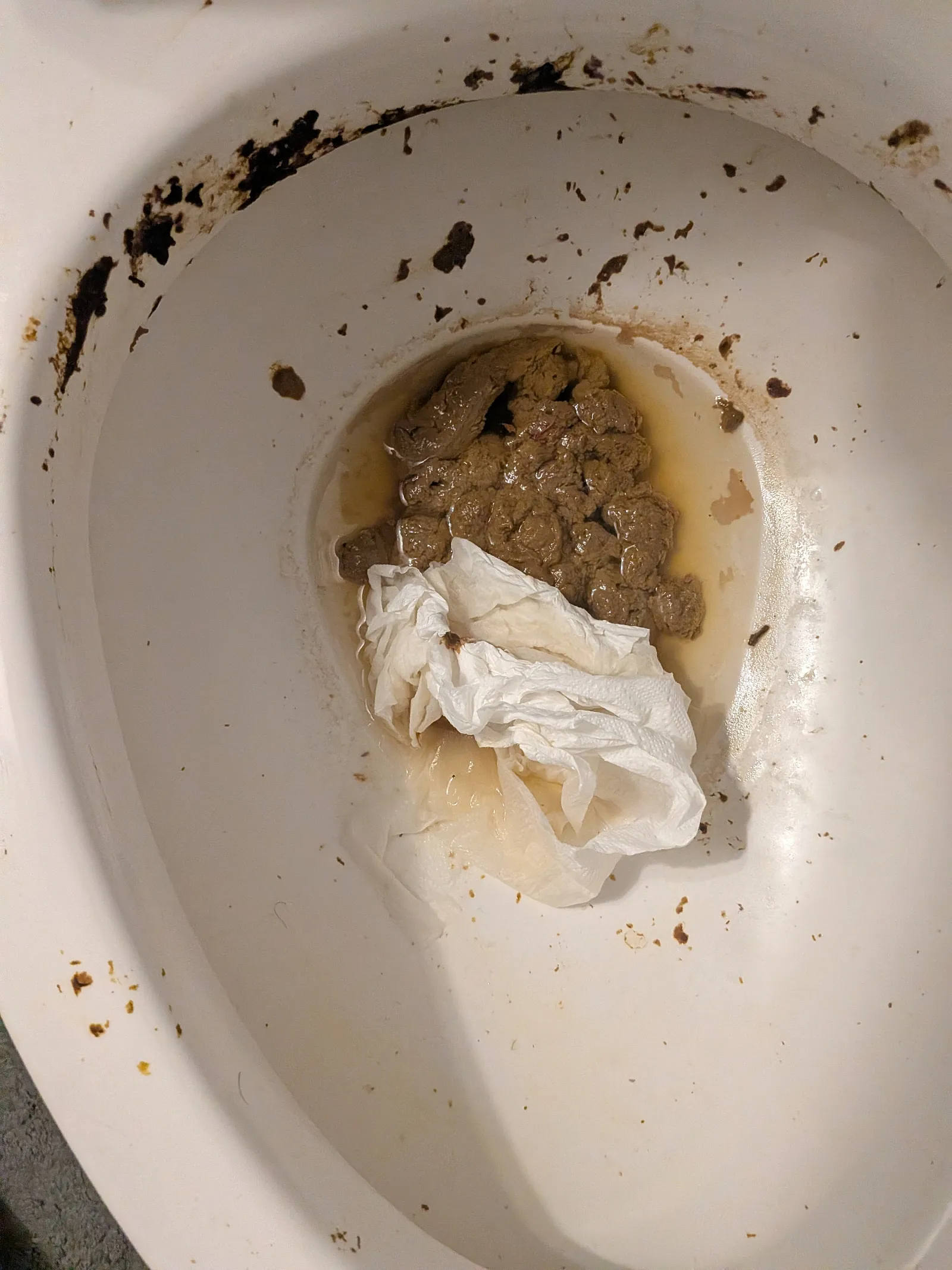 My wife's shit