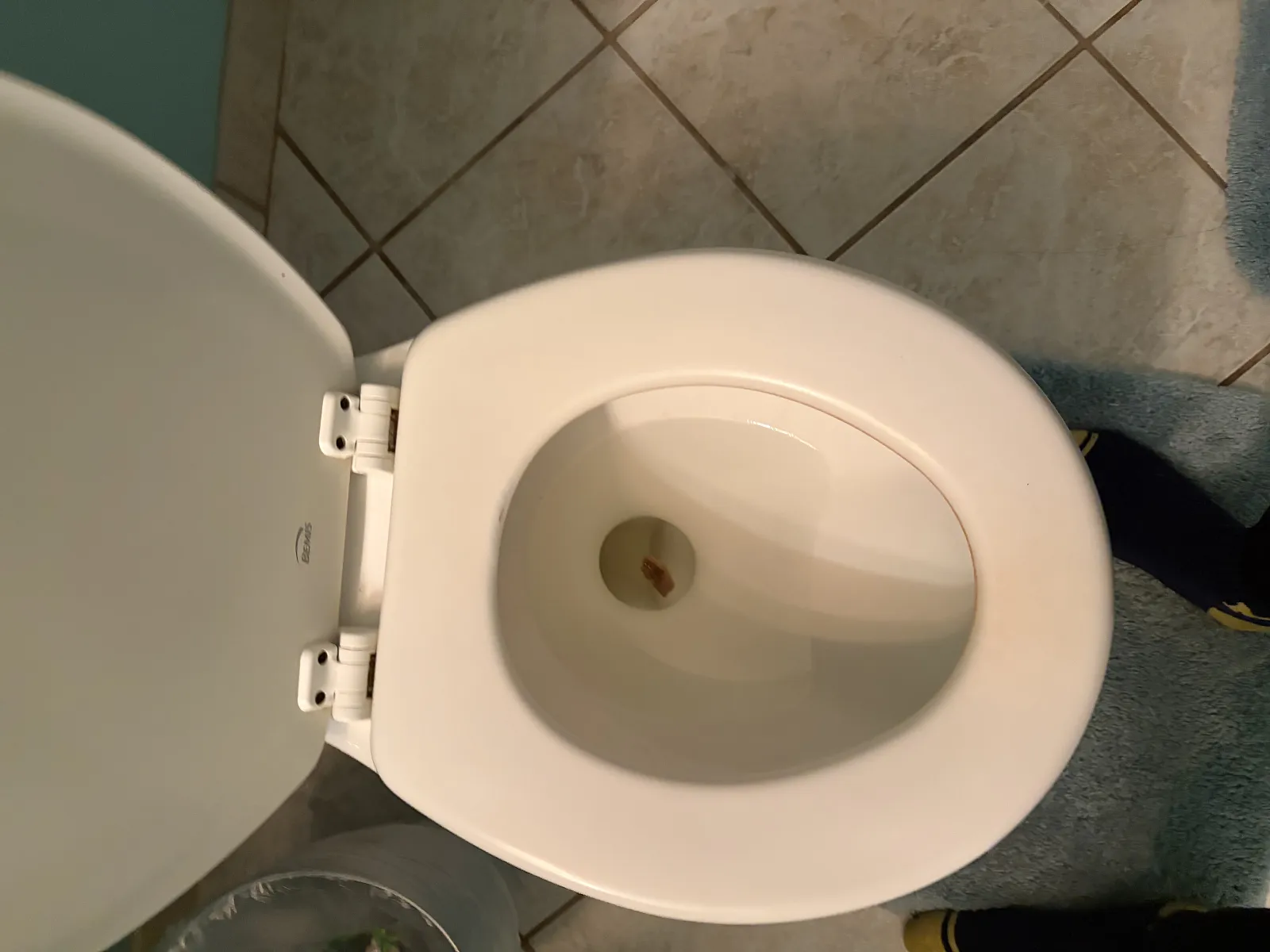Worlds saddest poop