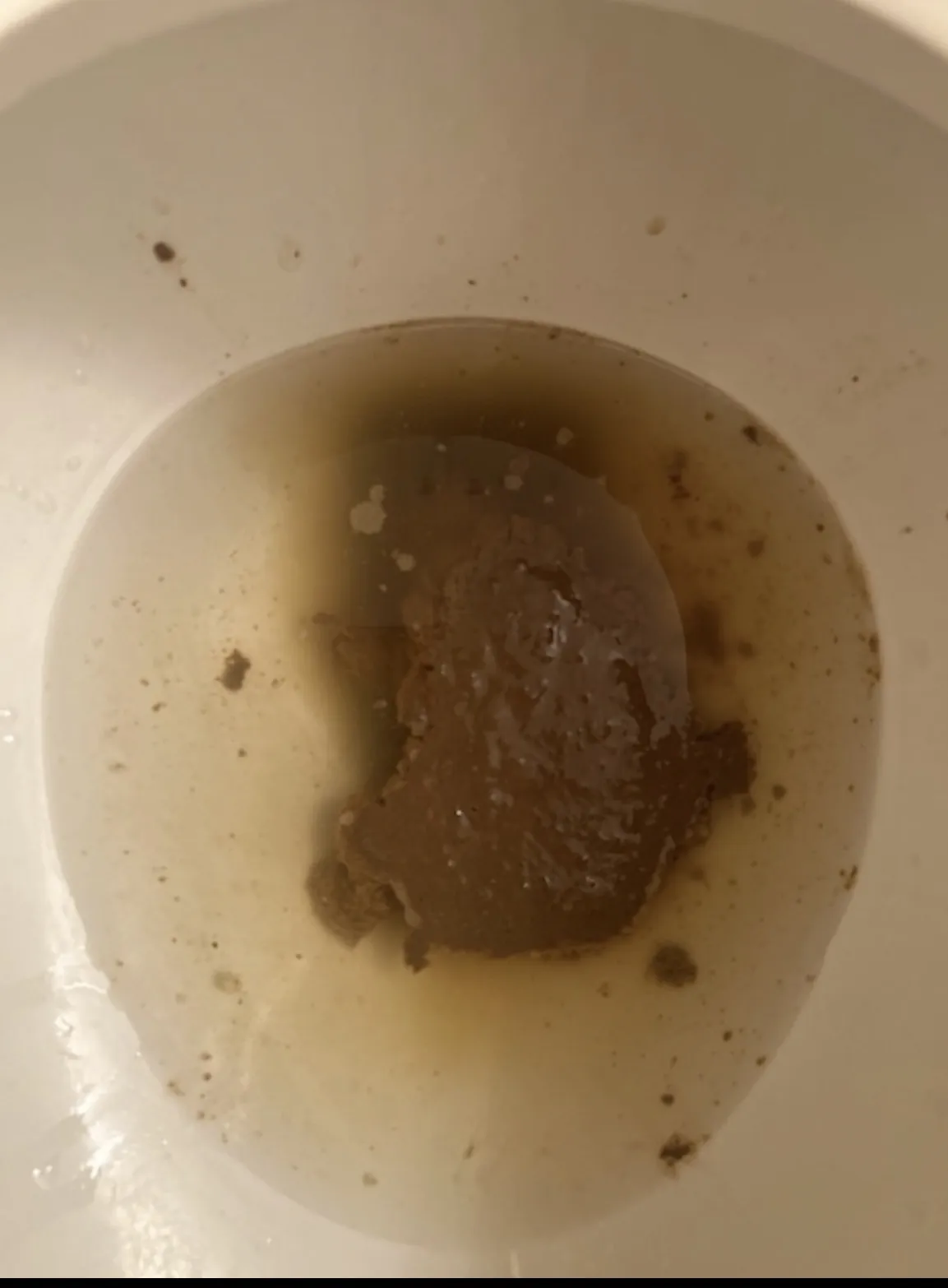 Poo soup