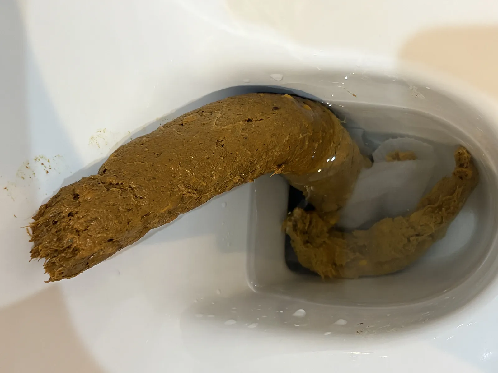 Morning log