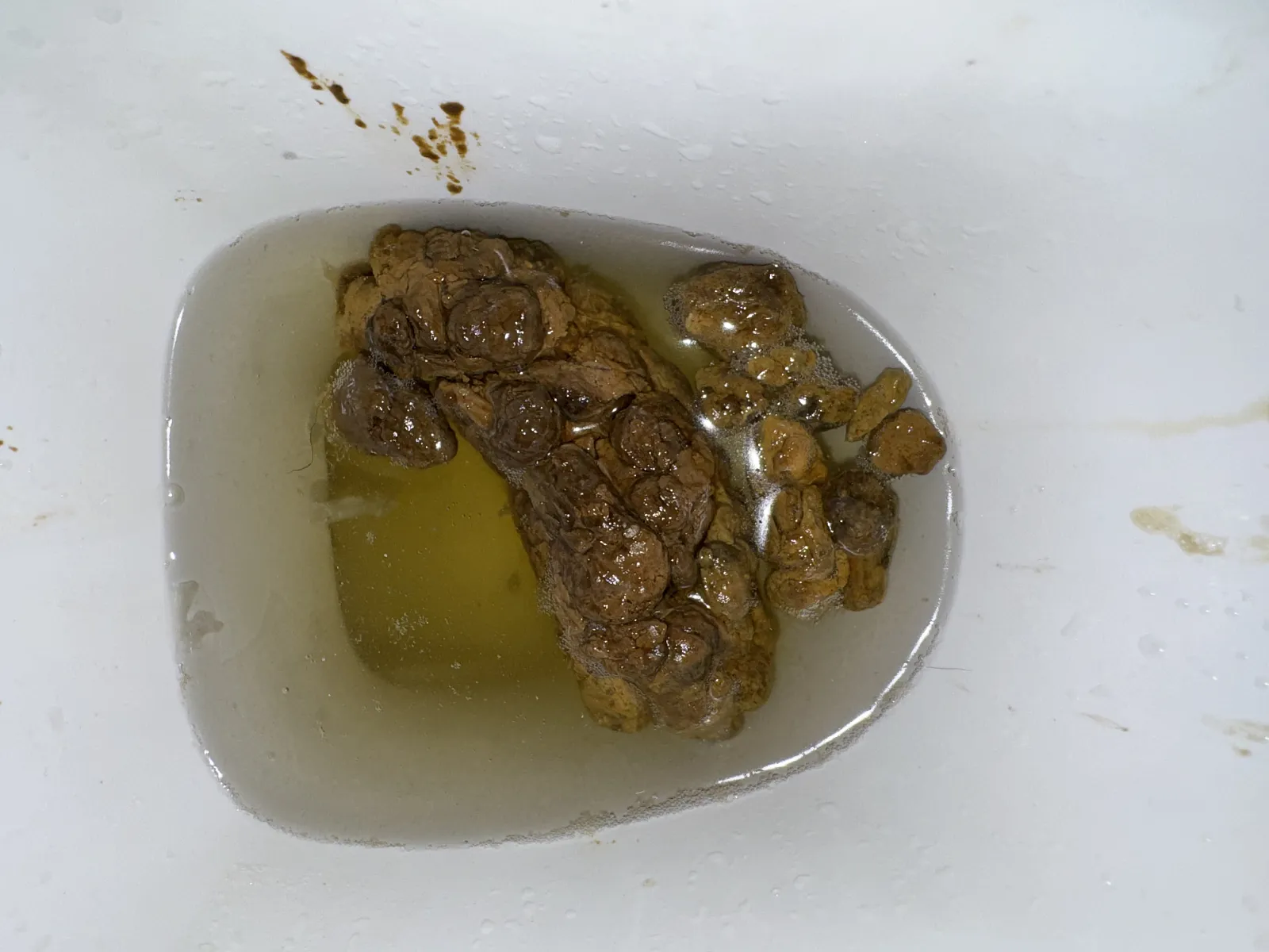 Poop  on Toilet