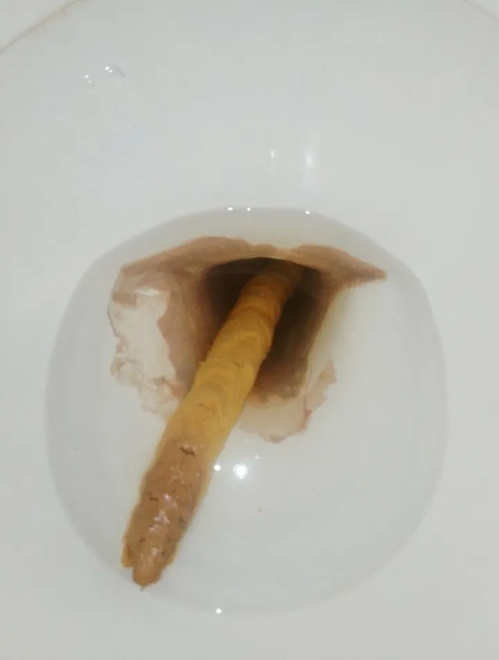 The biggest turd my ass has ever taken