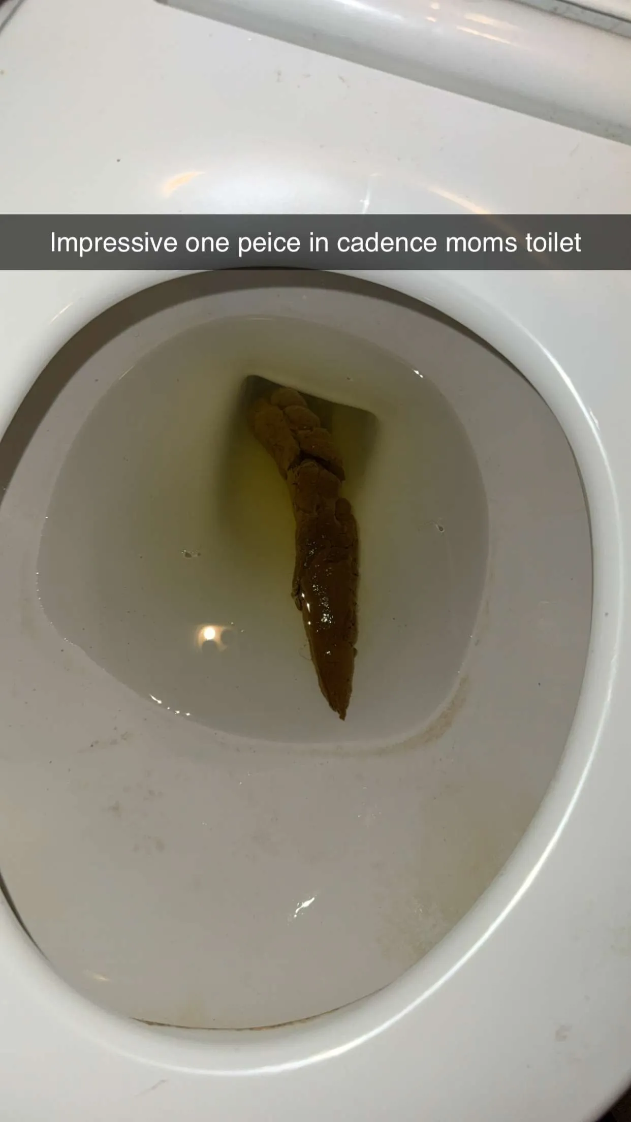 Pringle can