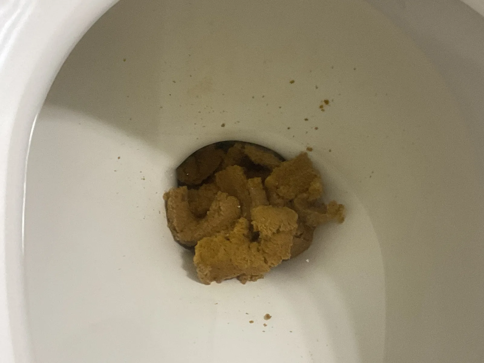 Aftermath after a big dinner with family