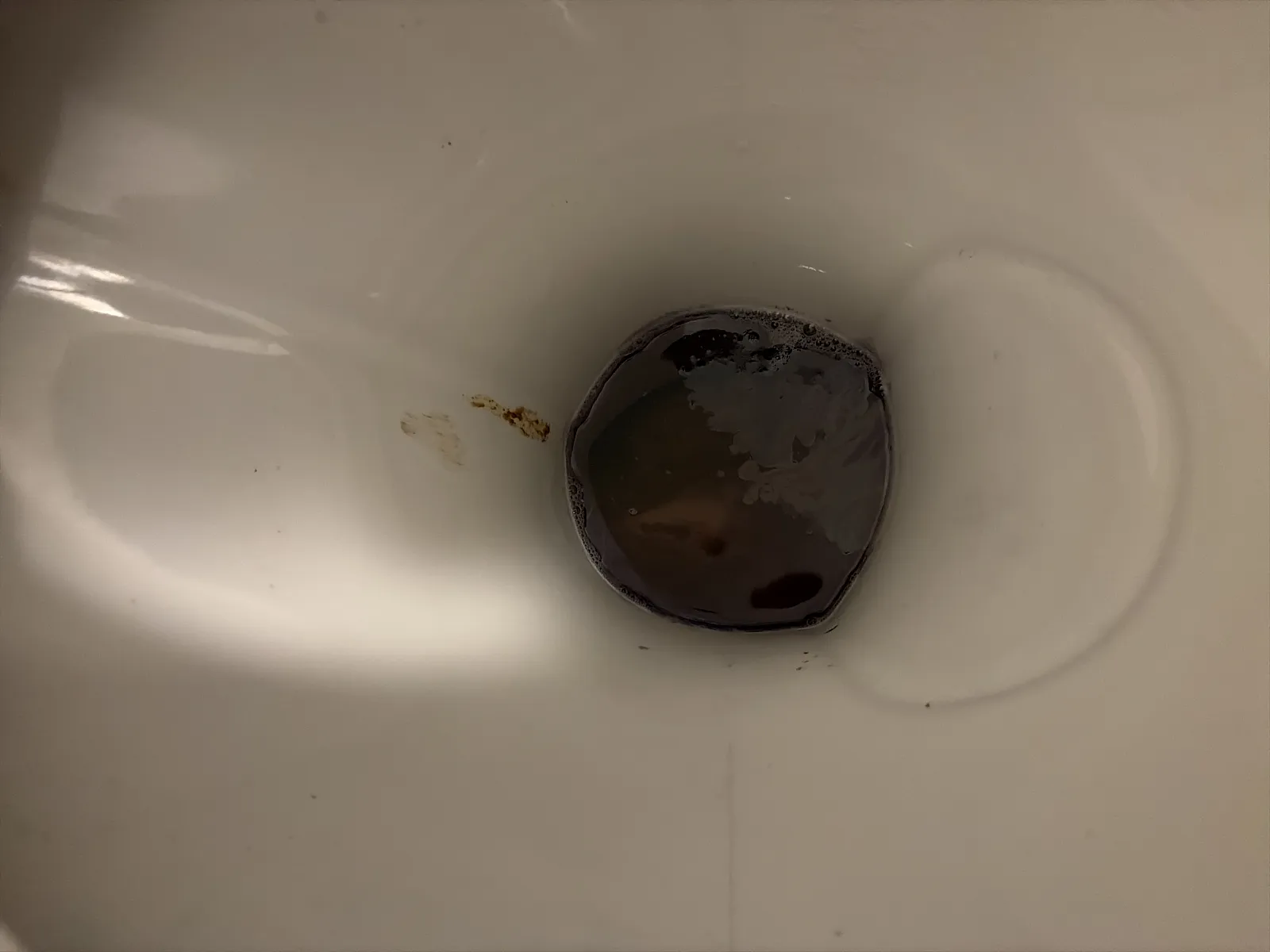 FertscherPoo die erste