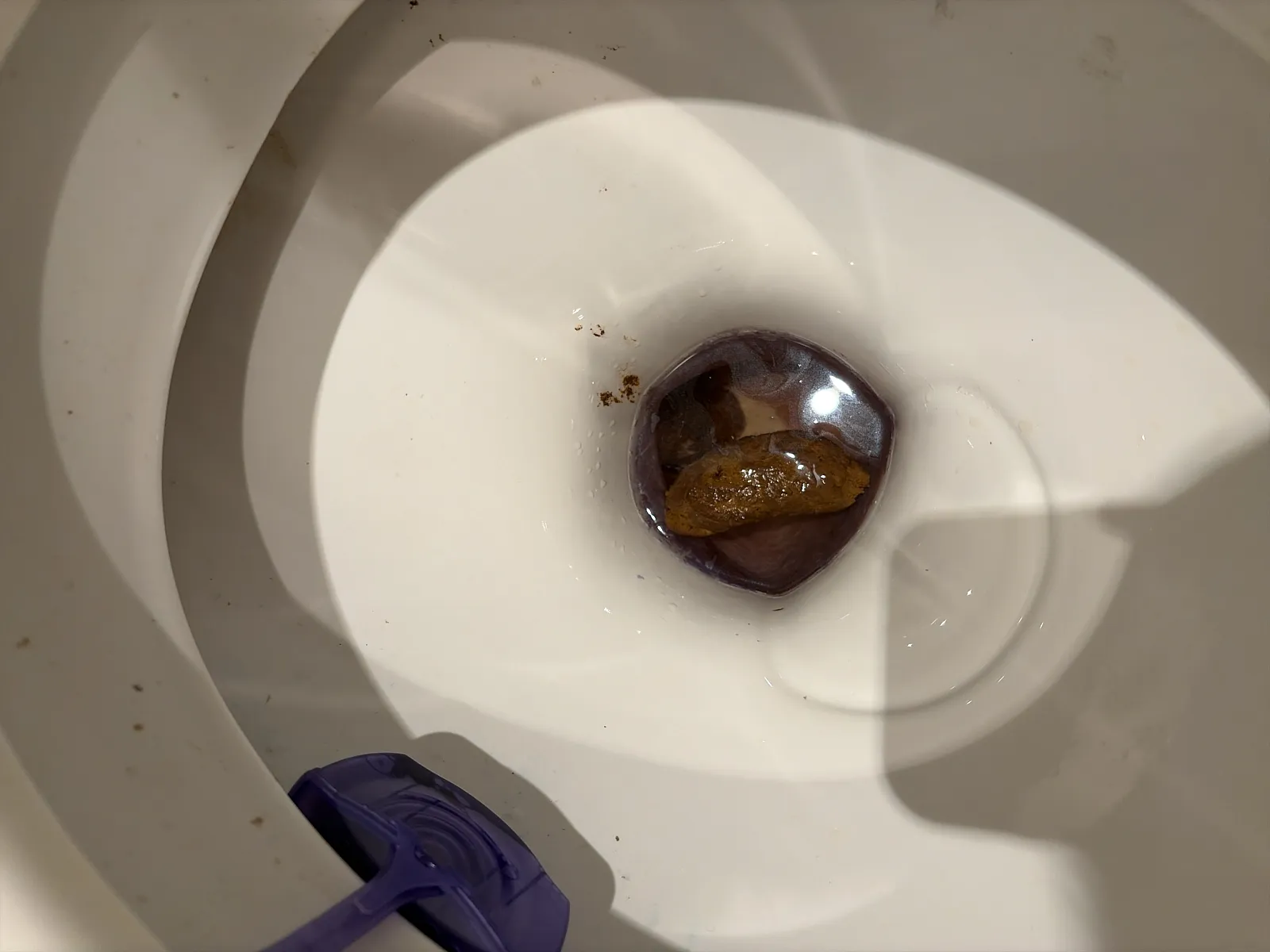 German fr shit