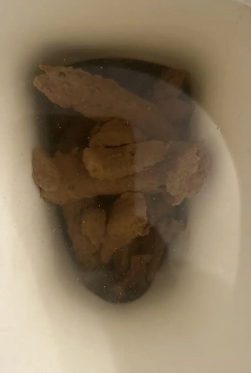 Filled the bowl