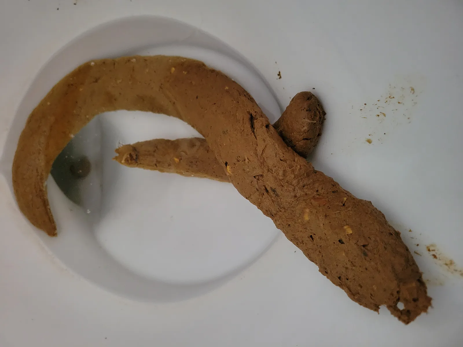 A real deuce.   2 feet long!