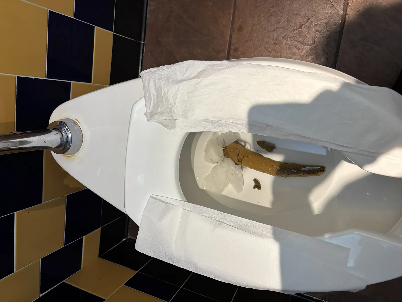 Red robin poo