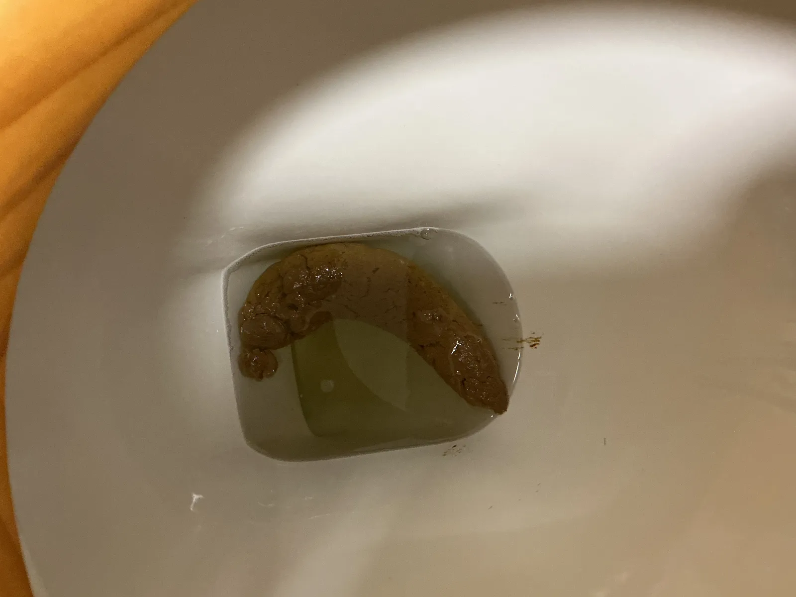 Sunday Afternoon big shit