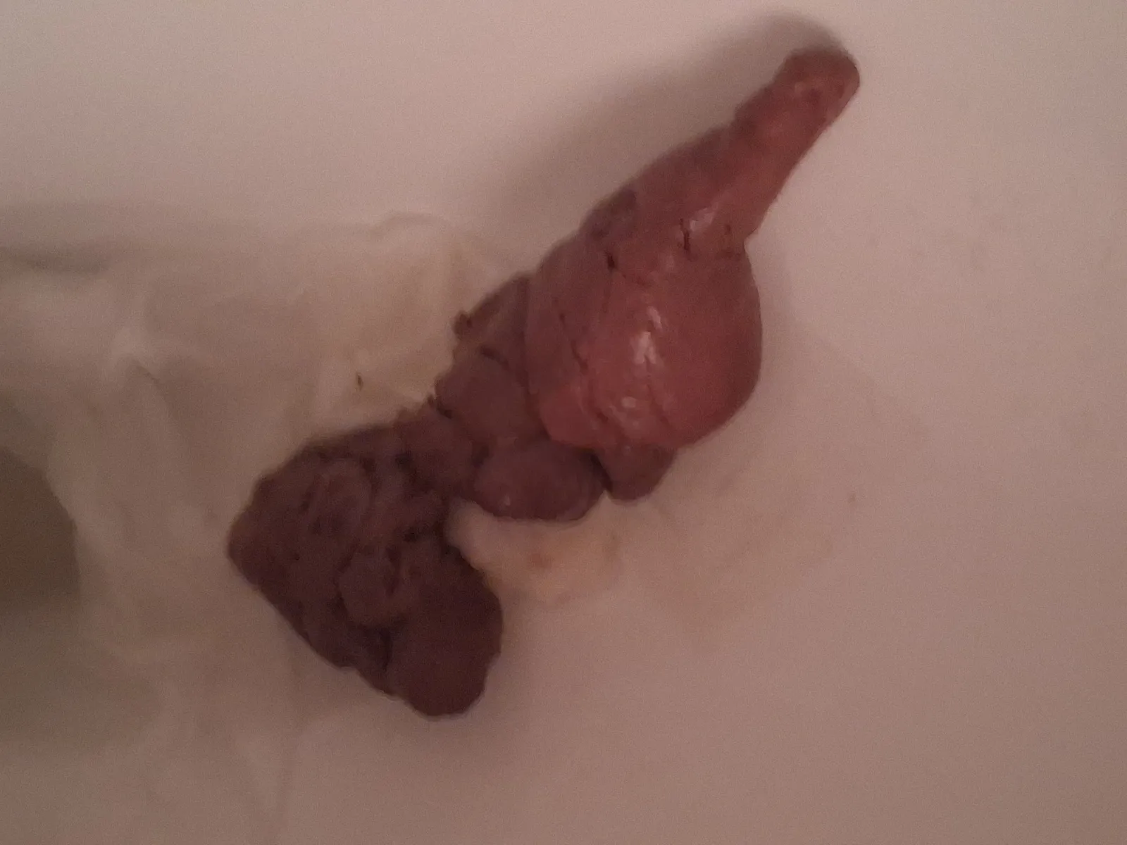 the weirdest shape ive ever seen