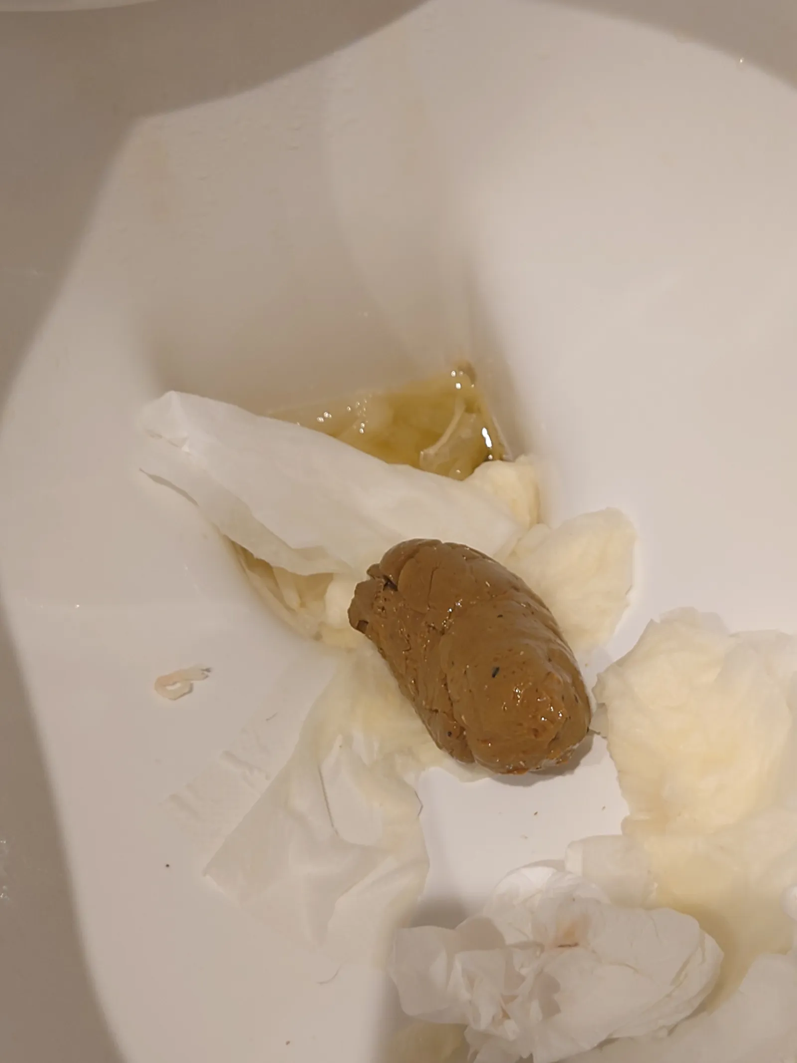 Lovely poo