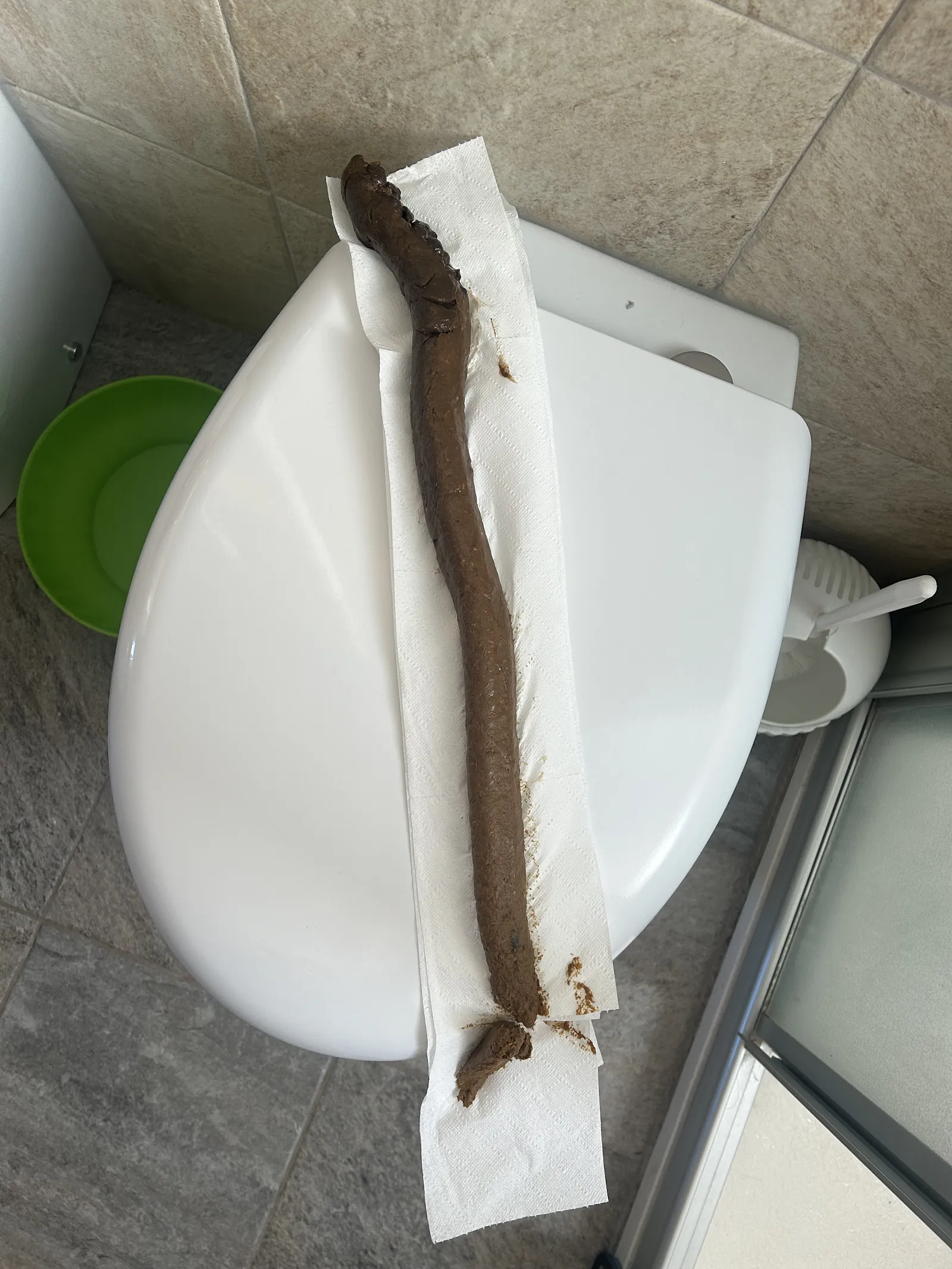 Long turd