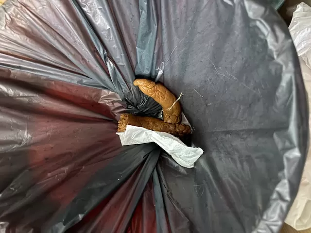 Van life festival poo