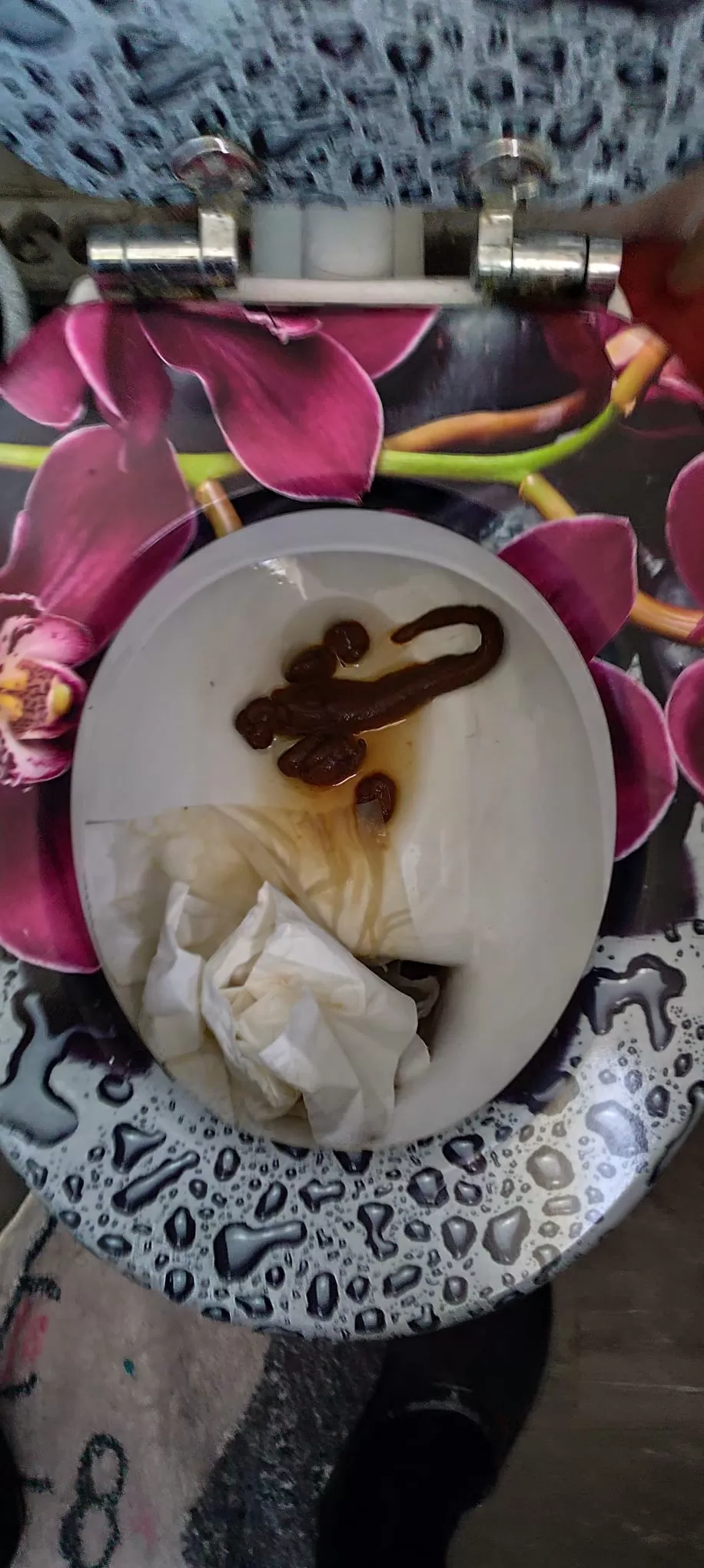 Scorpion