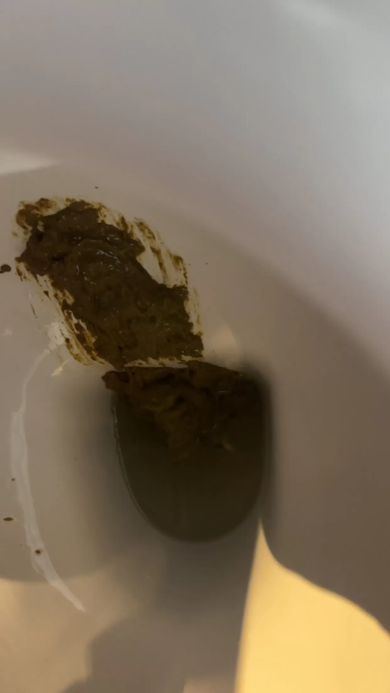Sloppy shit