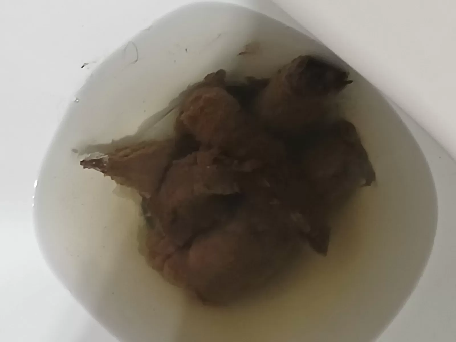 4pm poo