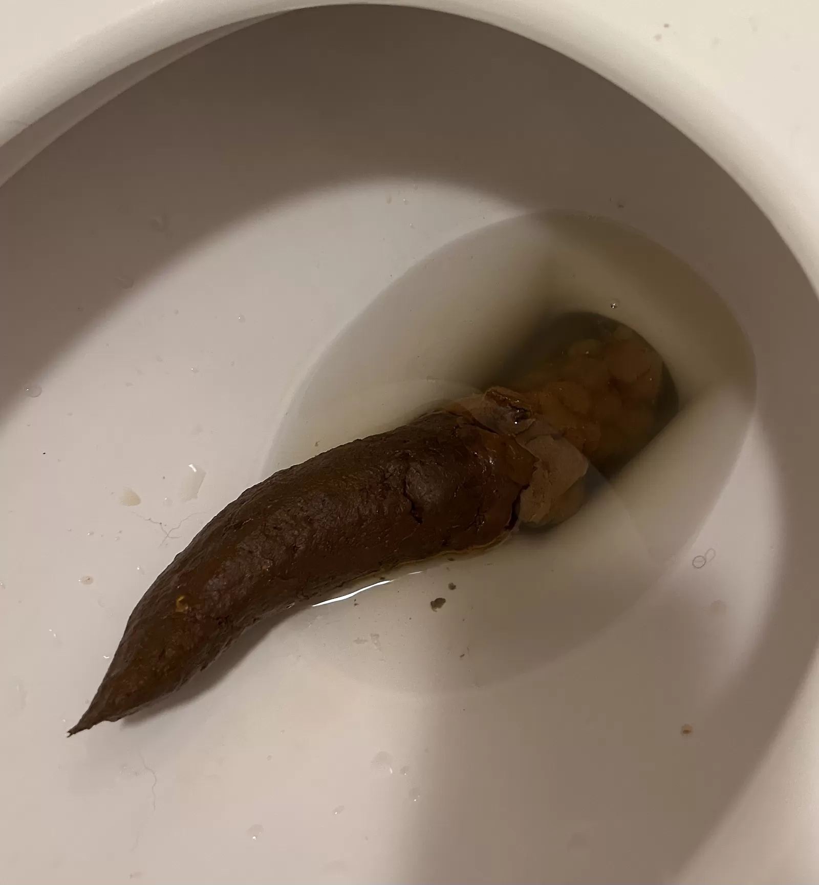 The Mud Missile