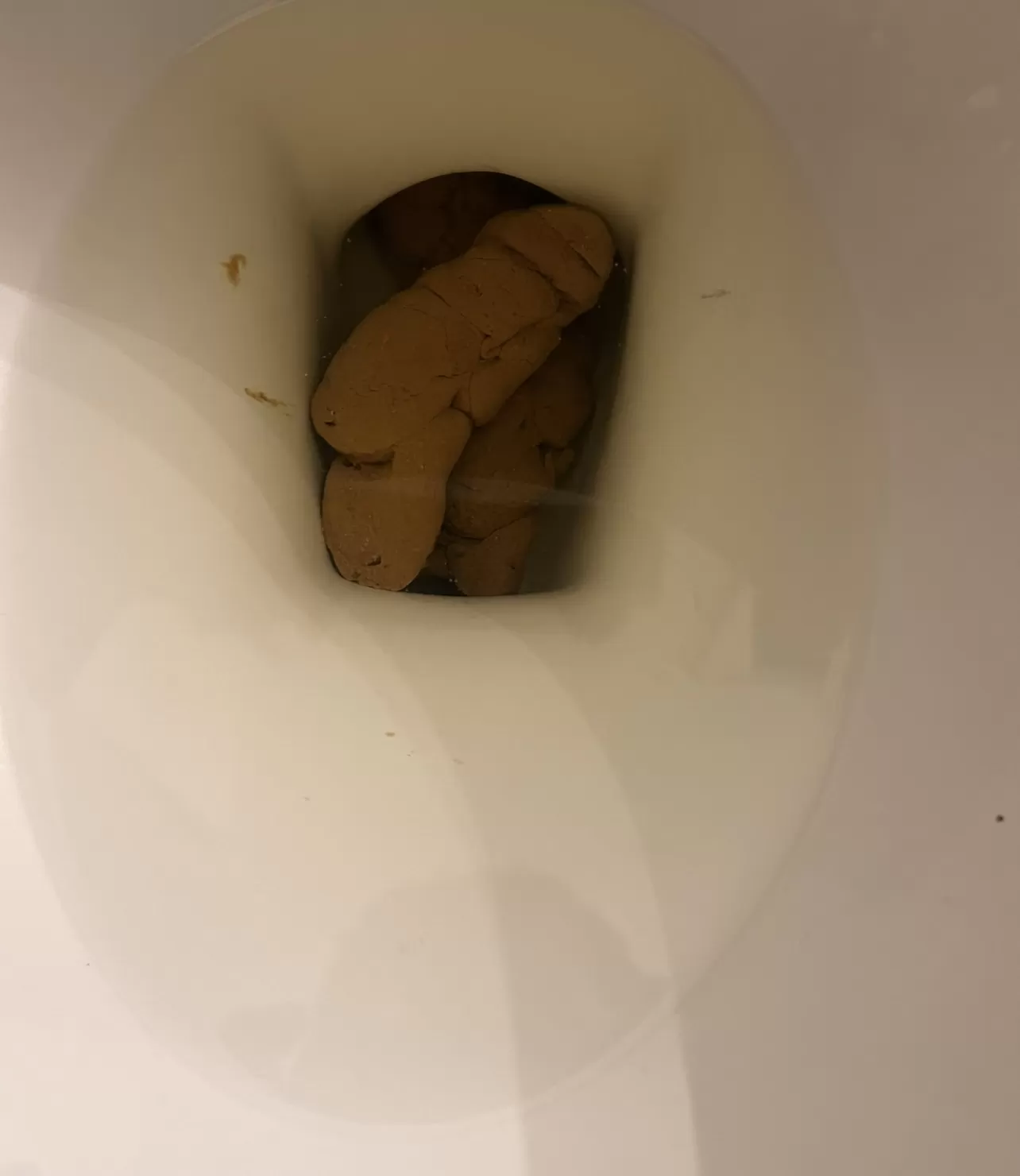 The Penis Poop