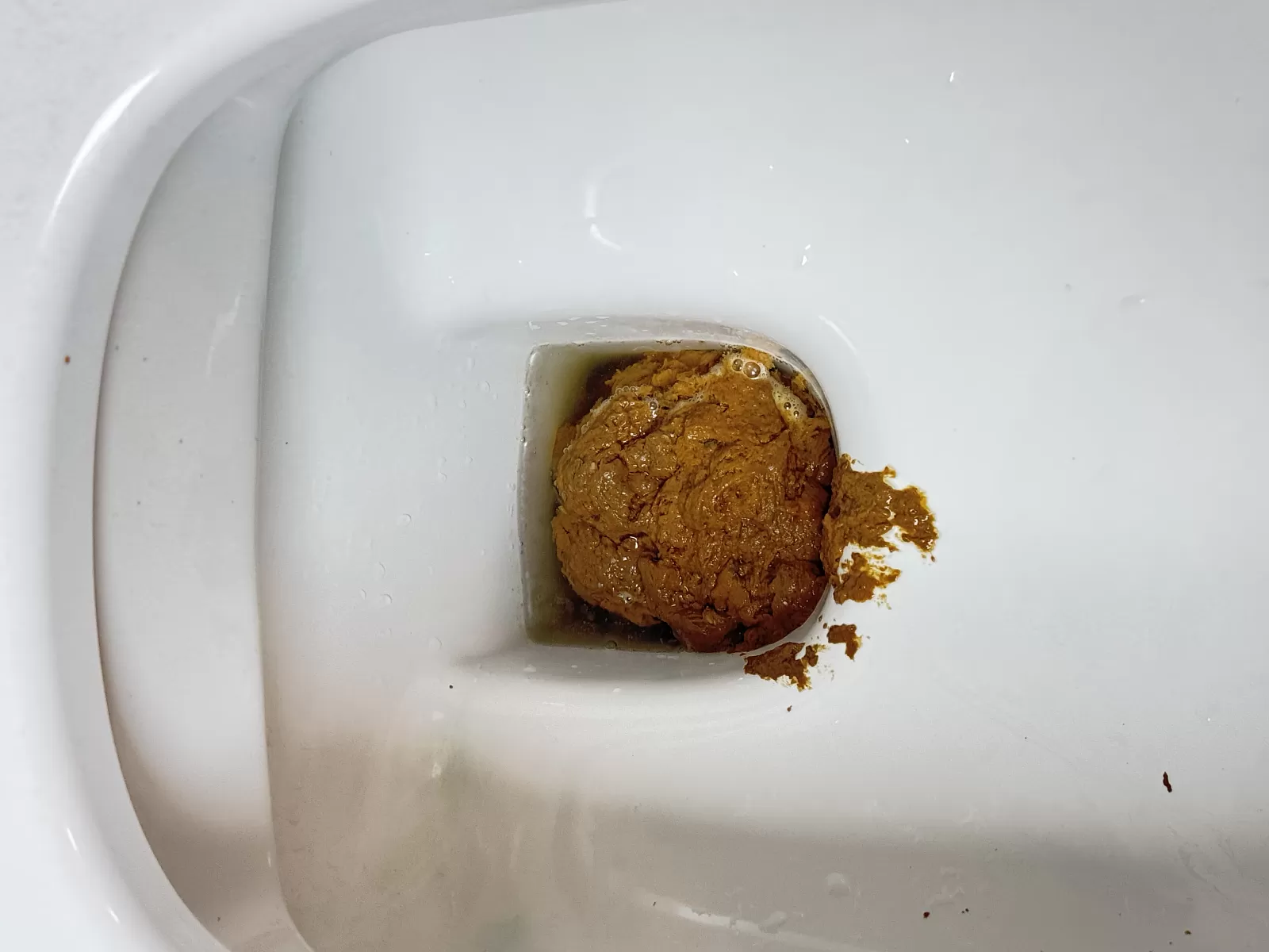 cow patty