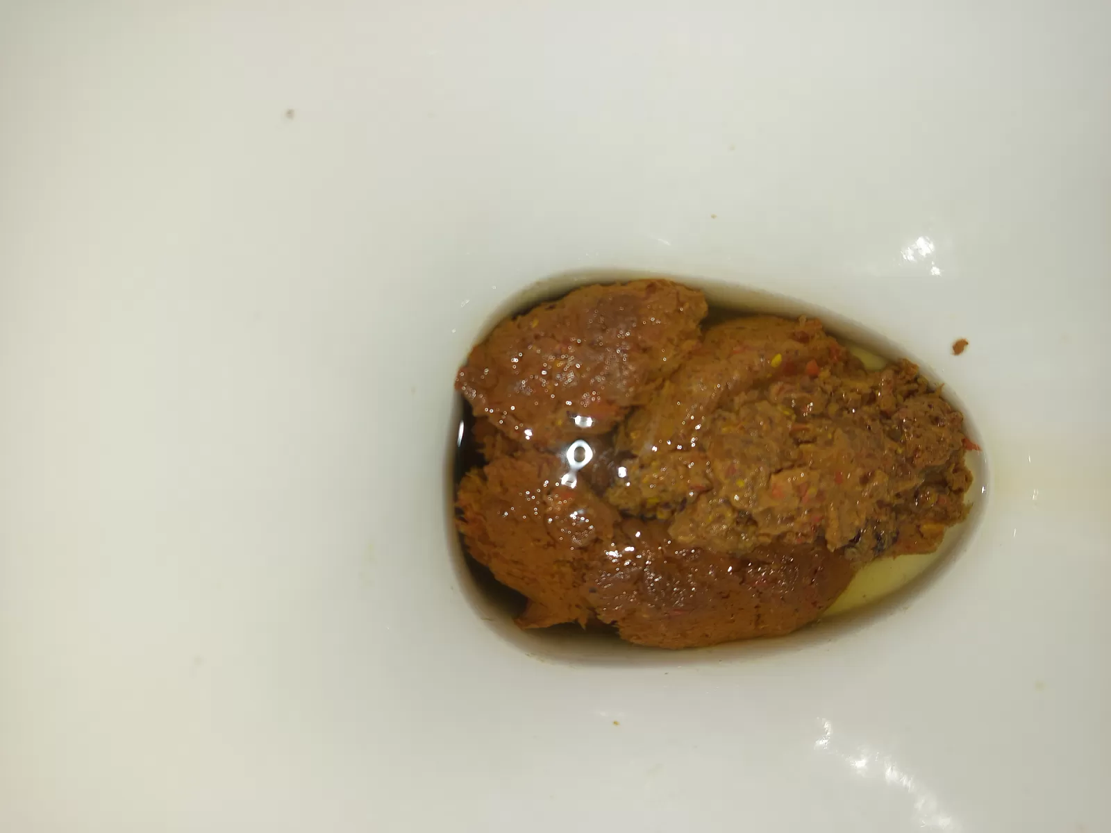 Min ven fra Lundeborg kan lave en større lort
