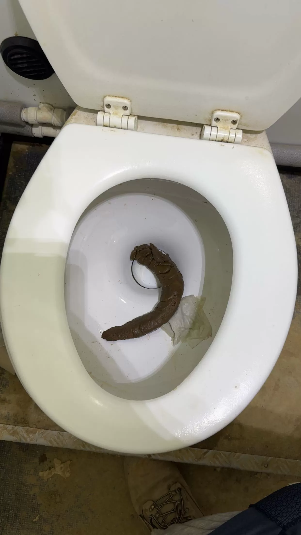 Boomerang