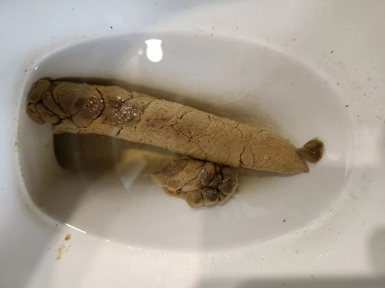 Long slong