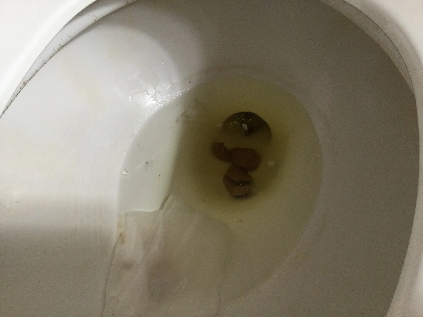 Good fealing poop