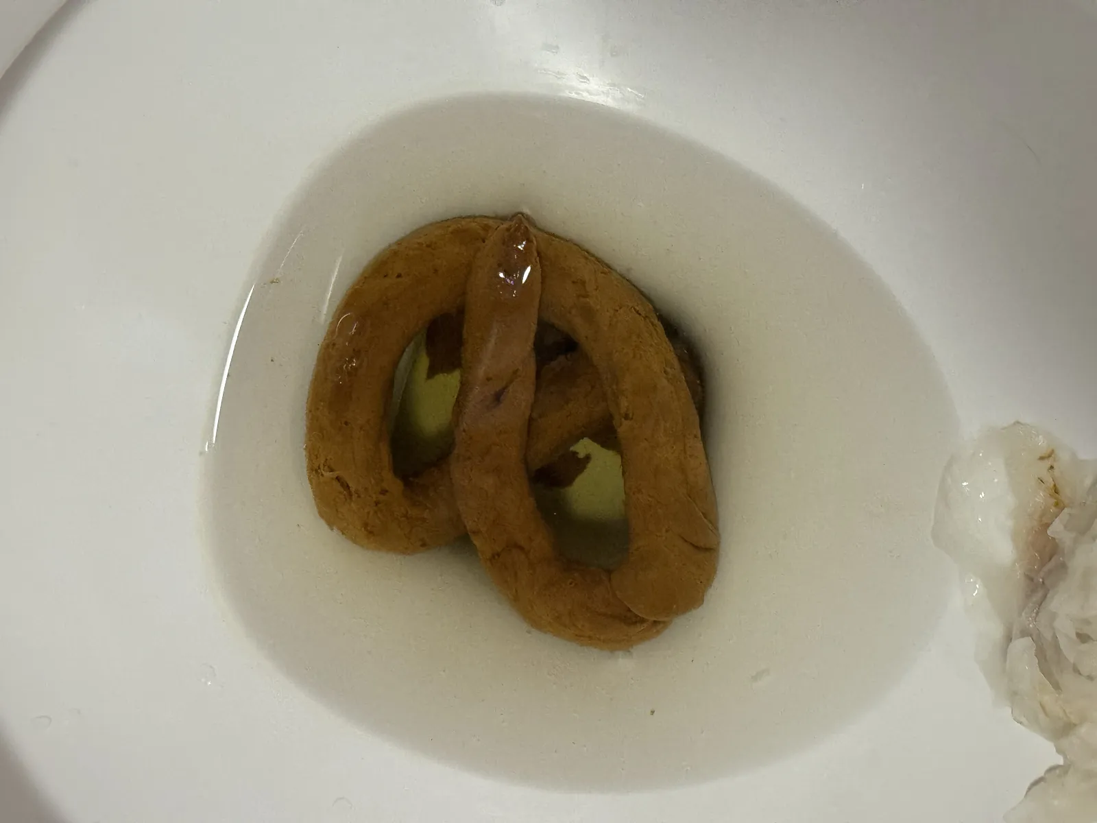 Poo-retzel