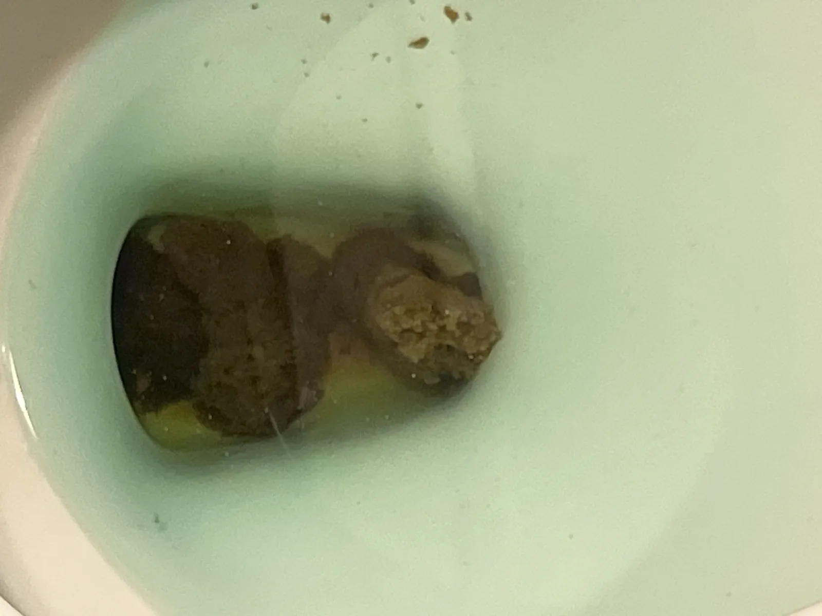 Poop ?