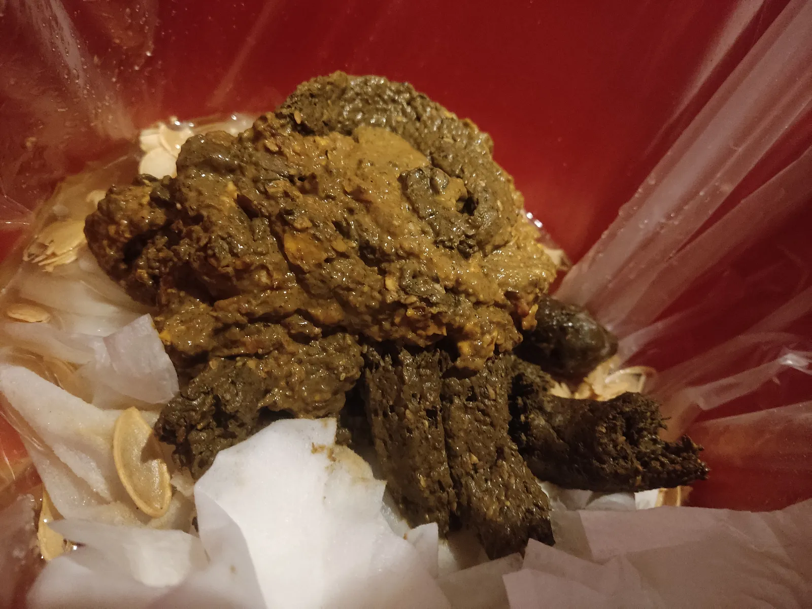 Gigantic poop