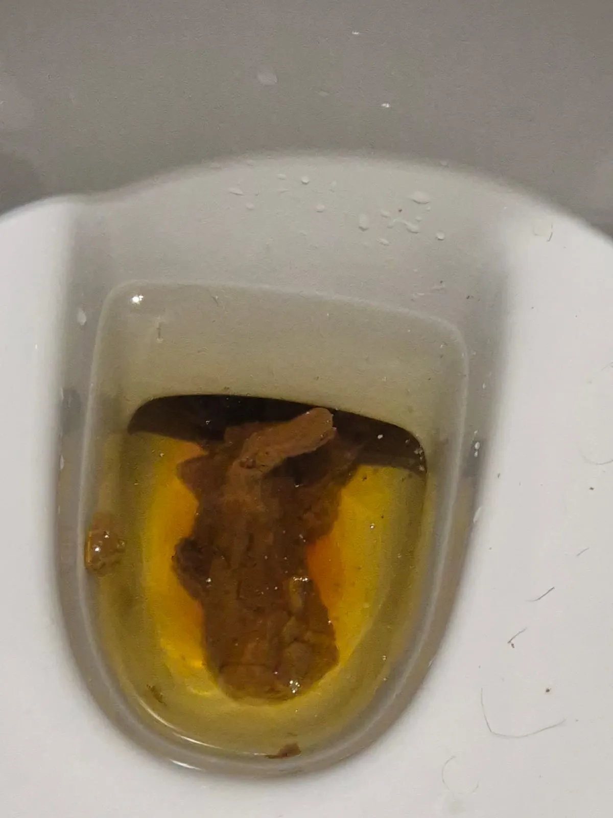 Pumba plonk