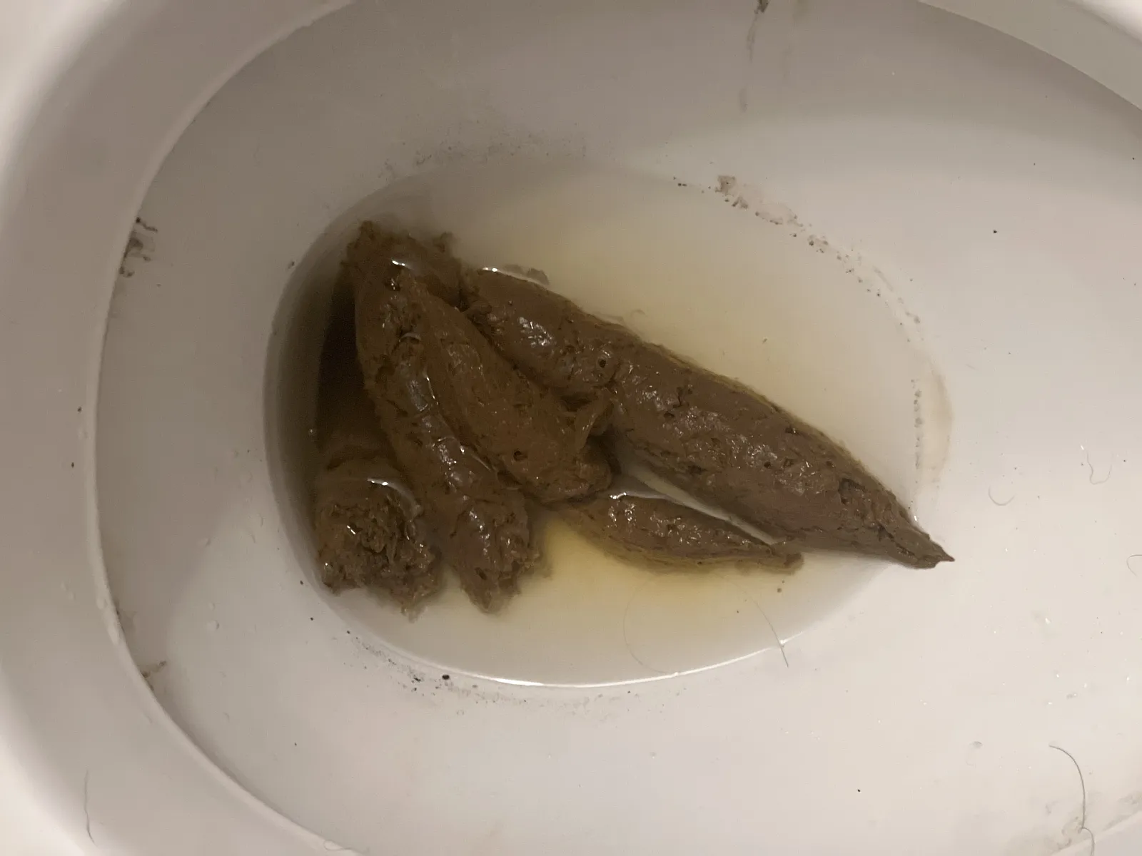 Immaculate conception