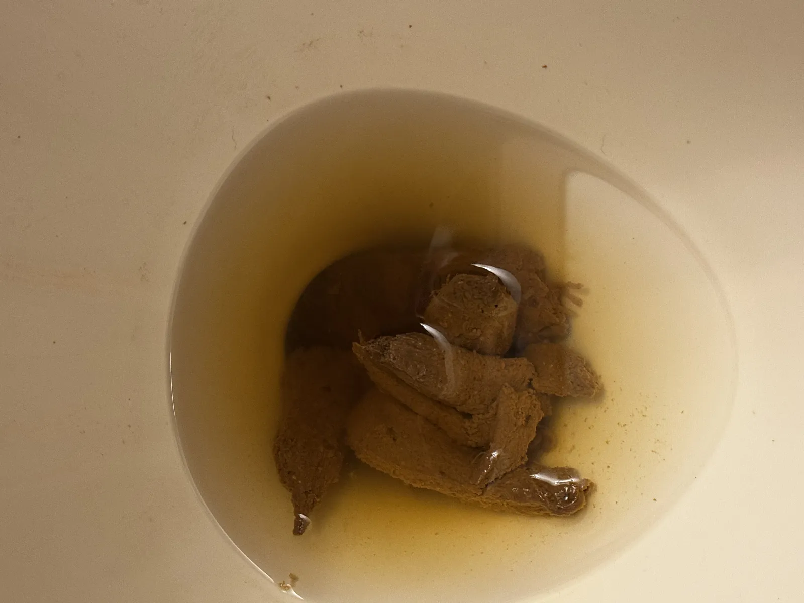 Sigh just a normal poop