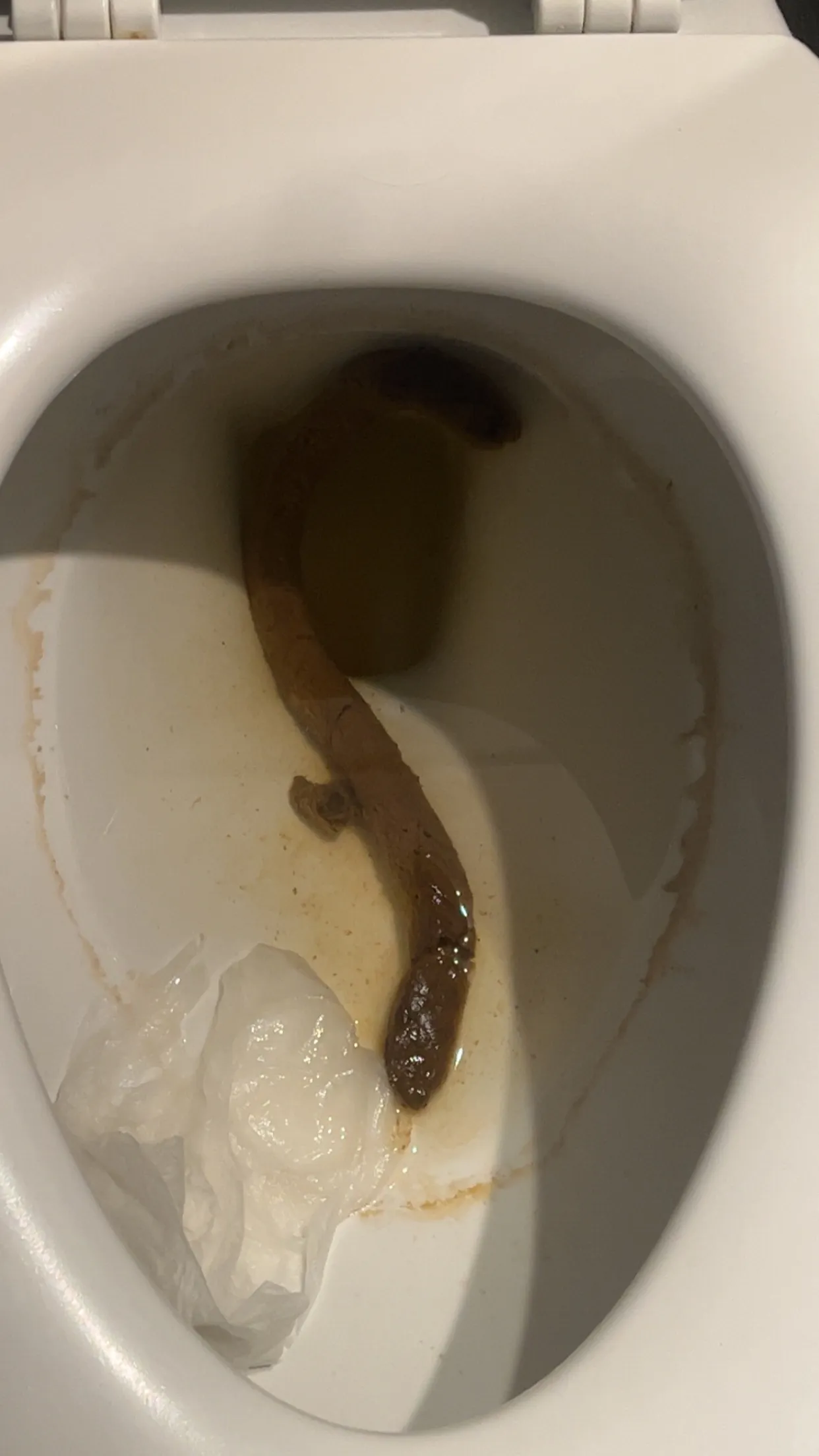 no push or struggle, just slide