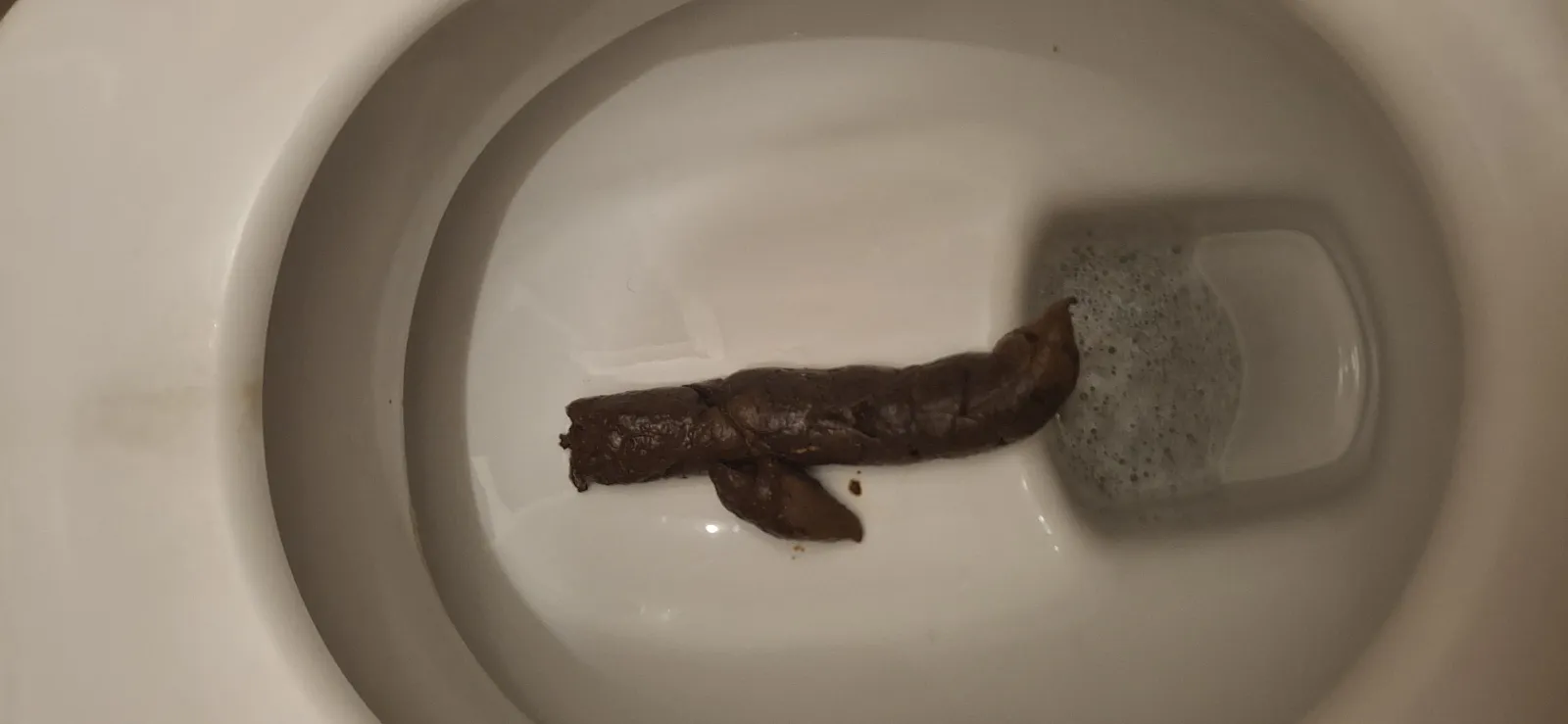 Big poop