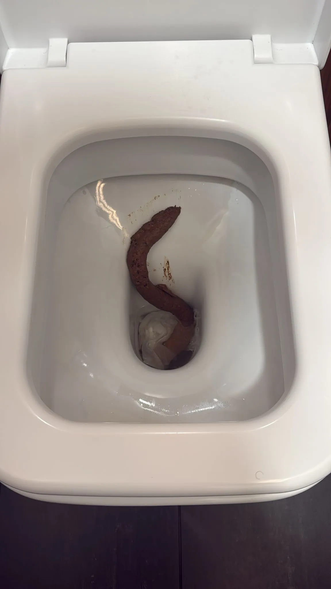 SSSSSSSShit