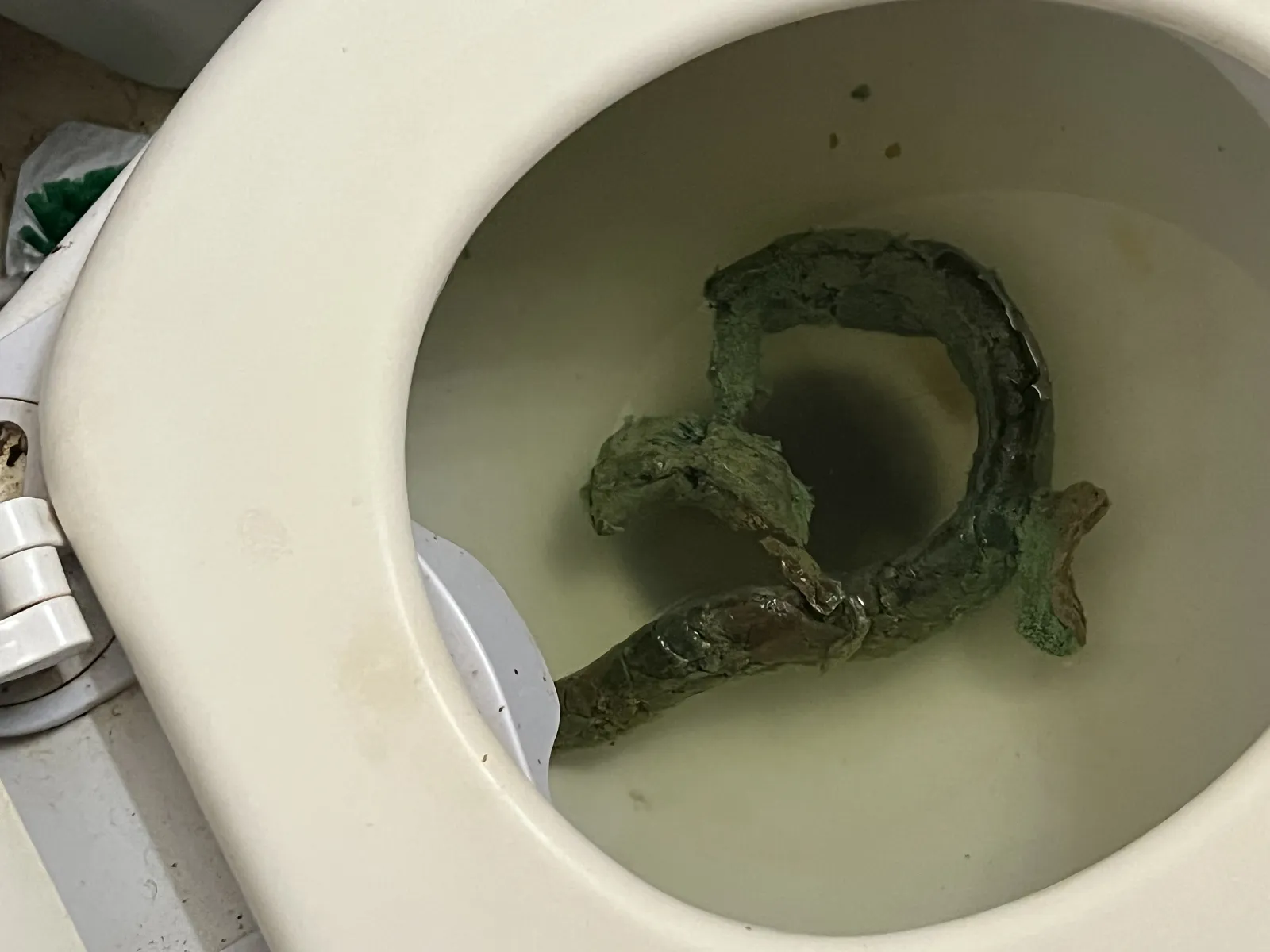 record breaking poop