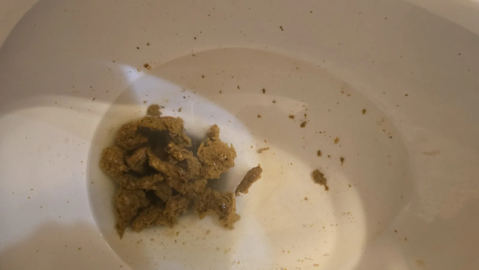 After Morning Hike Dump