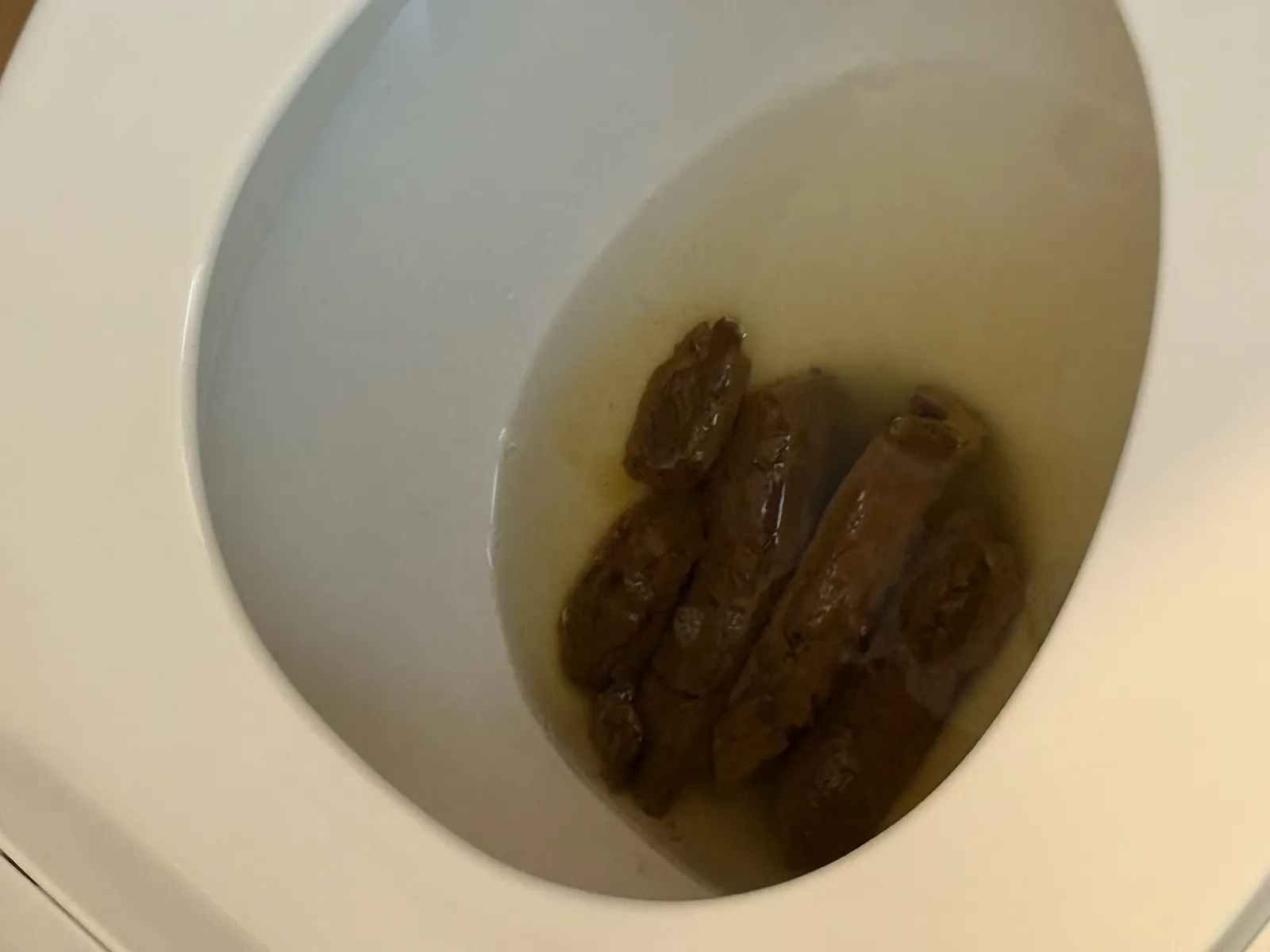 Bars of poop