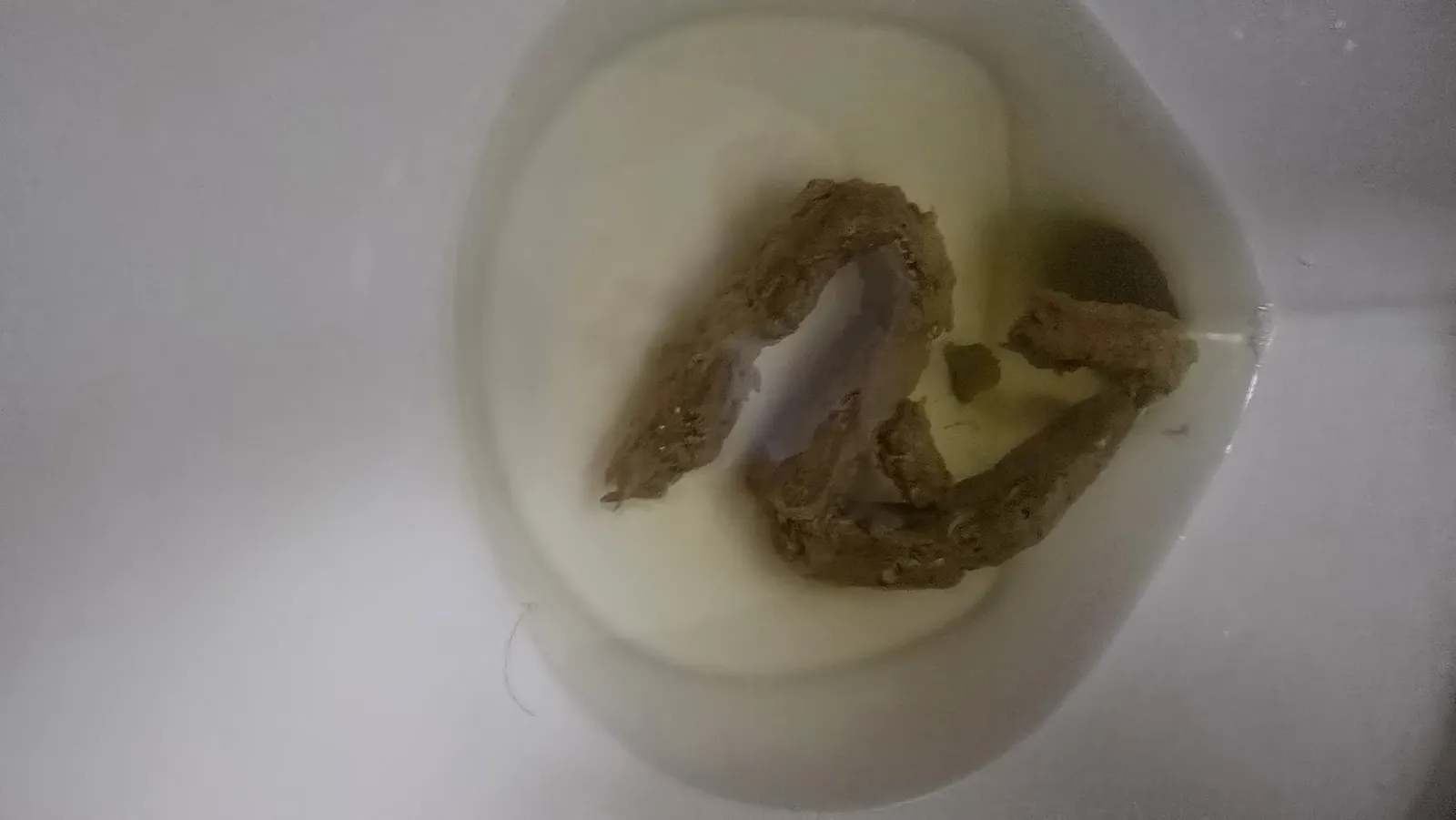 Snake in the bowl