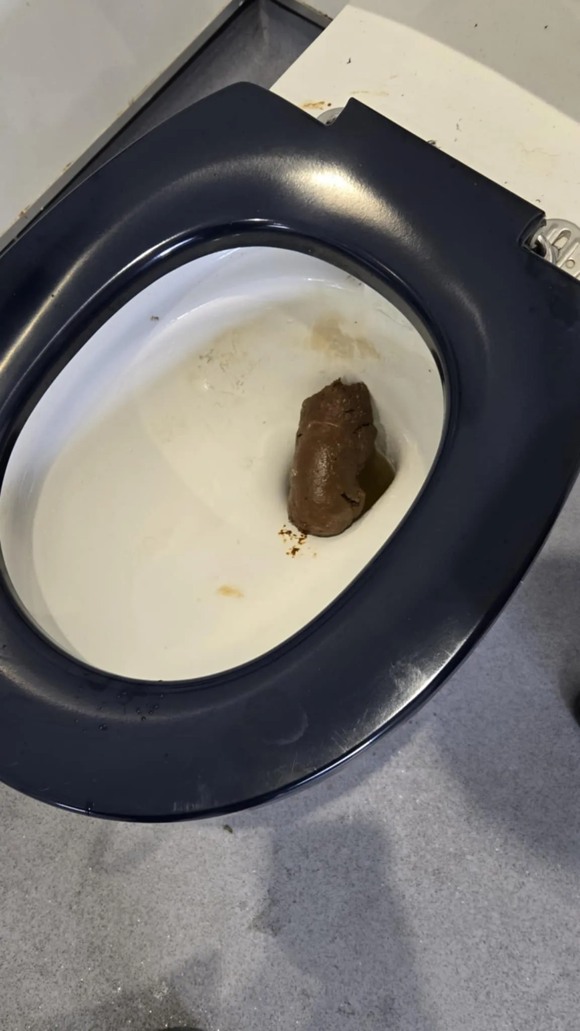 The beast of boscawen