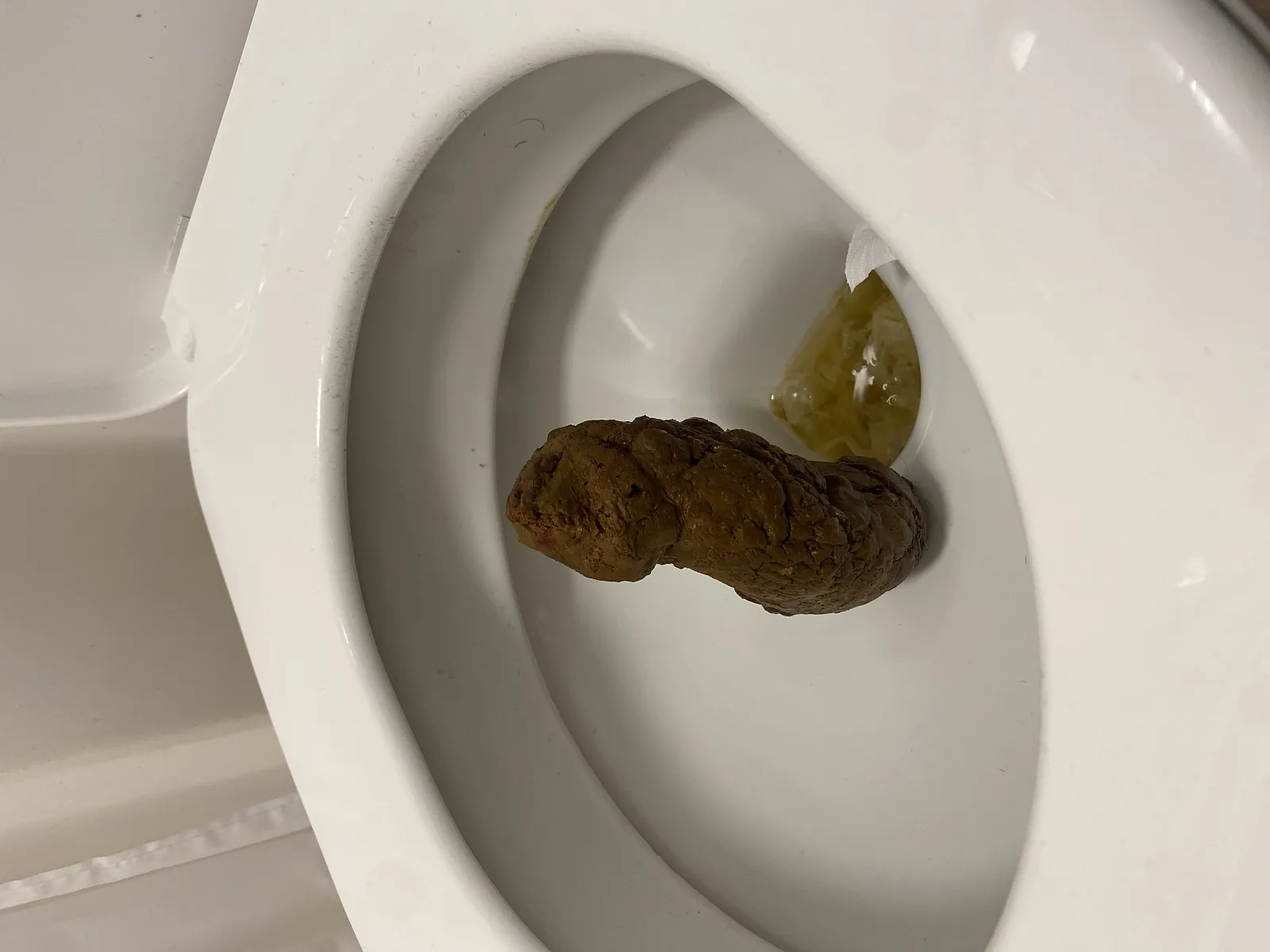 Leaning tower of poo