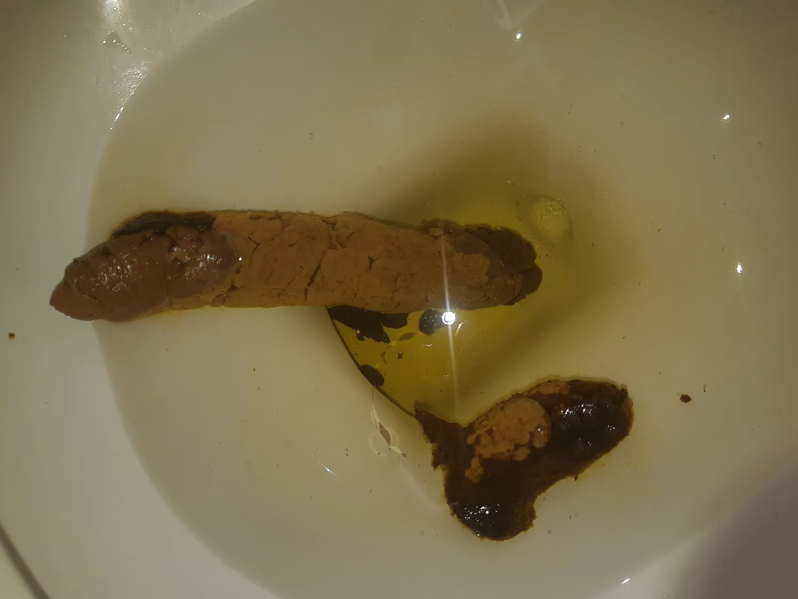 Took this 3 days ago