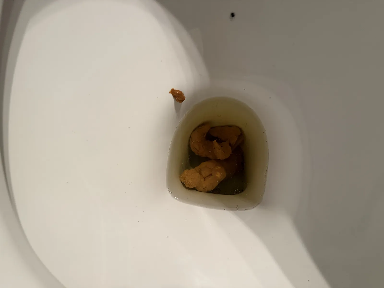 Lunch poo