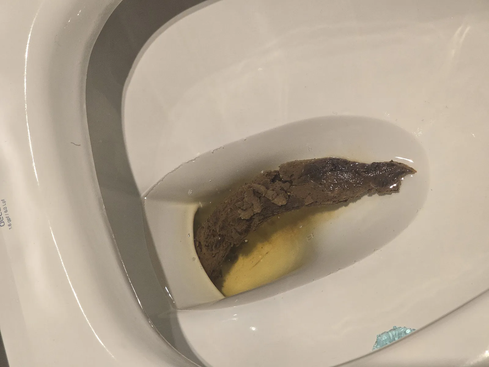 Big poo