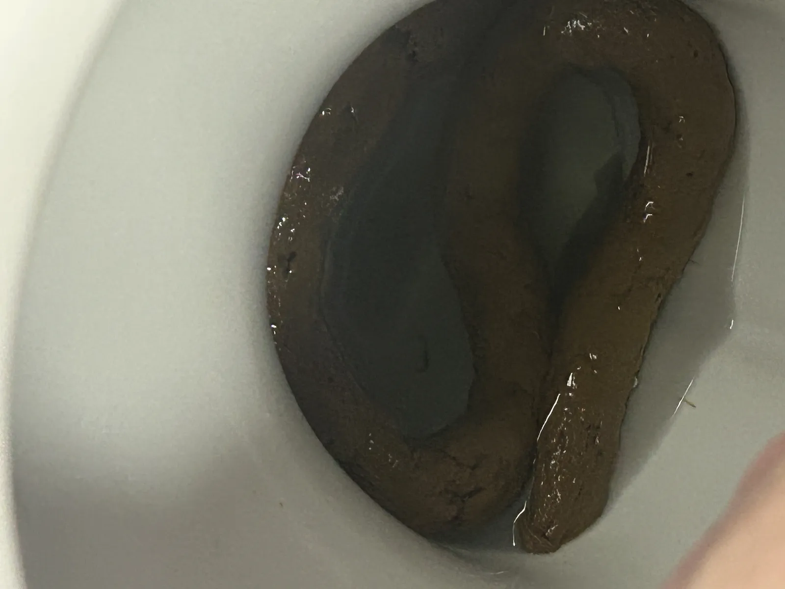 Long poo