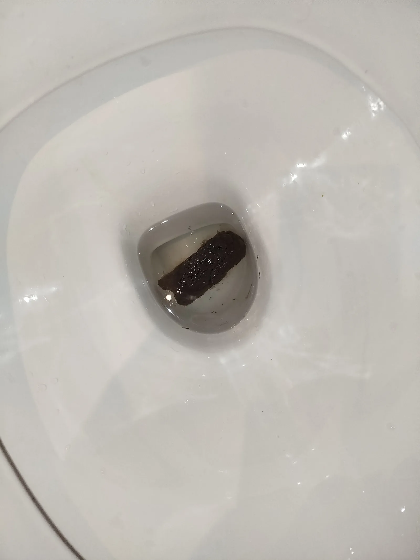 Black Poo