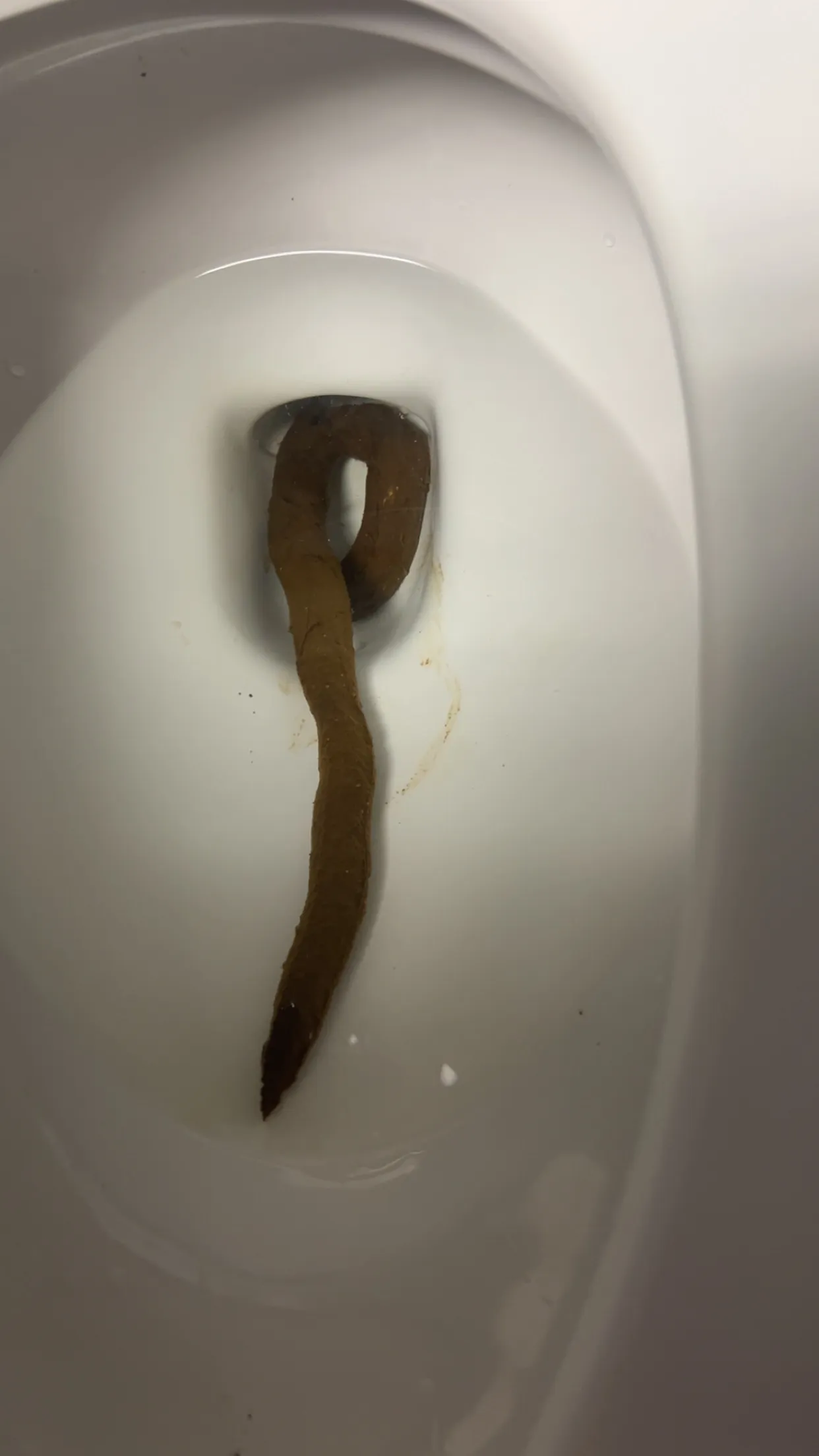 A lil snakey snaaaake.